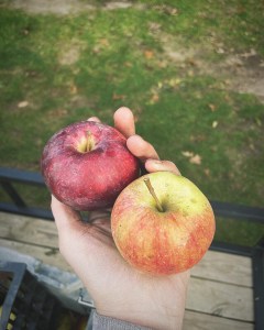 24B268CD-F6CF-4C19-AE65-CD1EF3FE2961