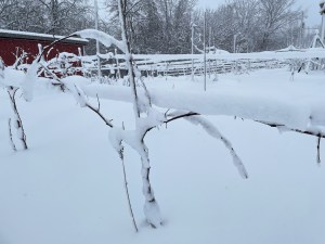 270F152C-BF6C-429D-92C4-3E00C28E6BDF