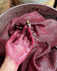 9F852712-1192-4853-85E6-EDEA39961979