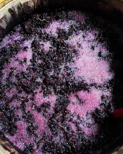 B9B477F1-E719-45C1-80D3-66011E8348C9