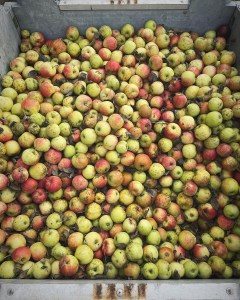 B9F4534D-6C2A-427D-92E4-C322DE1A3149